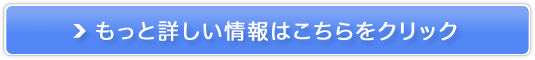 WjGuyKiEEۏؕtIz̔TCg